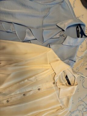 Zara Satin Blouses in Light Blue and Cream